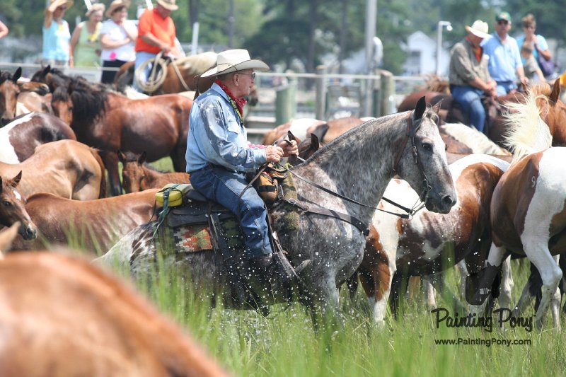 ponypenning_072810_180.JPG