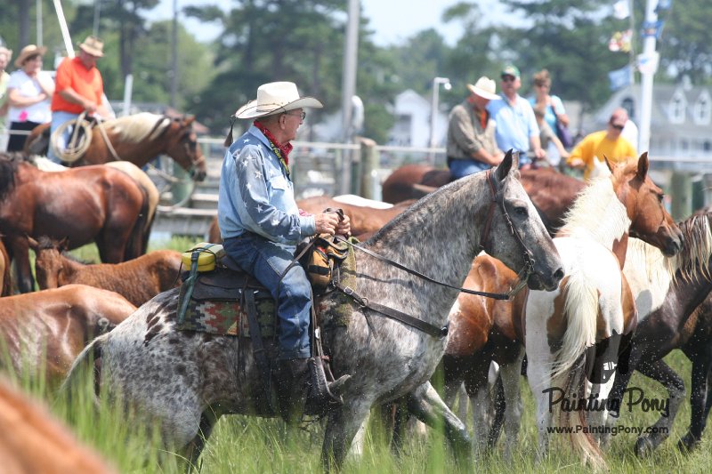 ponypenning_072810_181.JPG