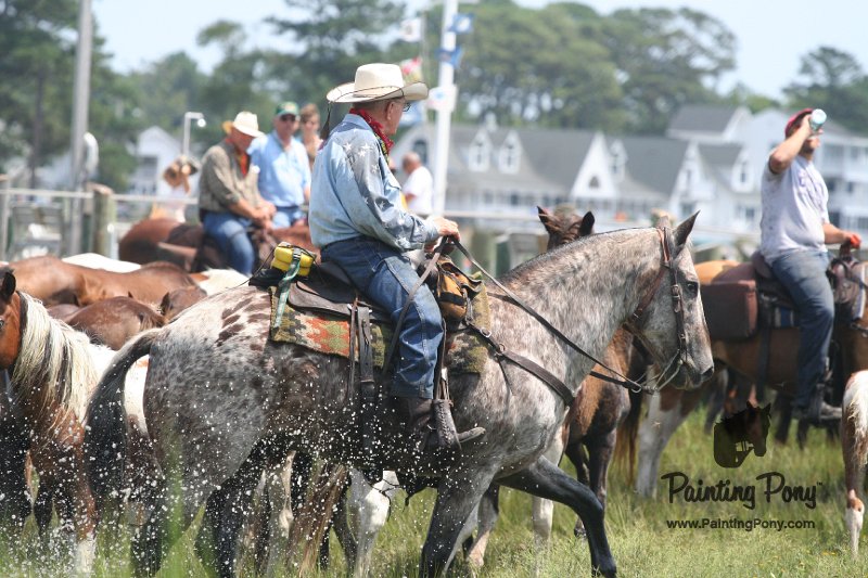 ponypenning_072810_182.JPG
