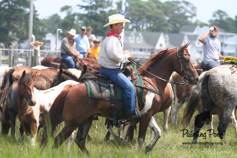 ponypenning_072810_183.JPG