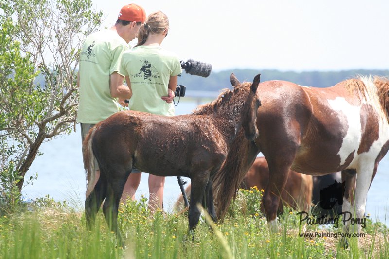 ponypenning_072810_199.JPG