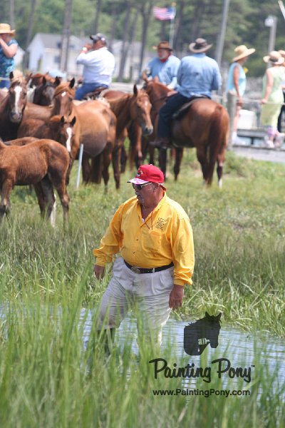ponypenning_072810_221.JPG