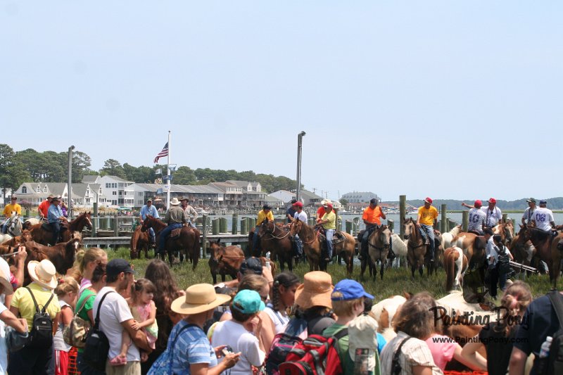 ponypenning_072810_235.JPG