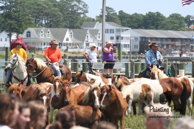 ponypenning_072810_236.JPG