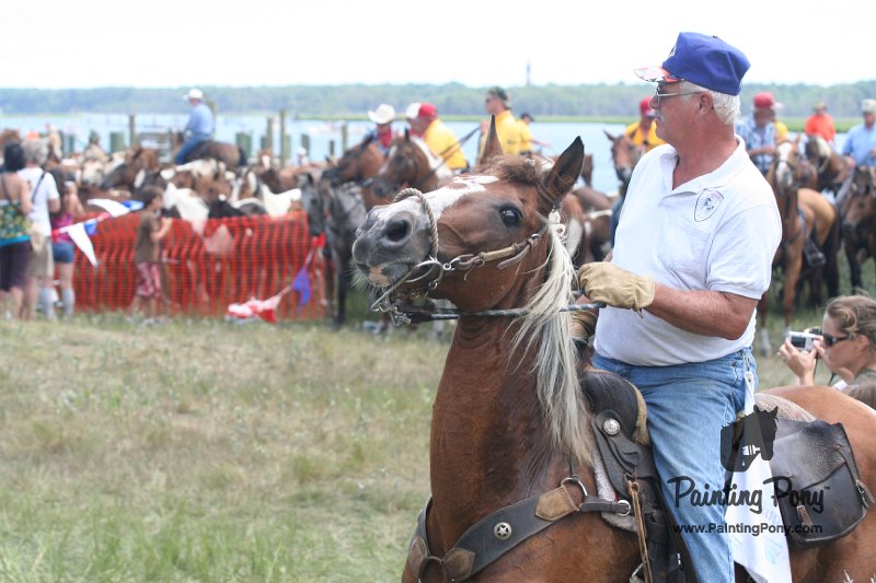 ponypenning_072810_240.JPG