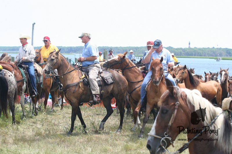 ponypenning_072810_241.JPG