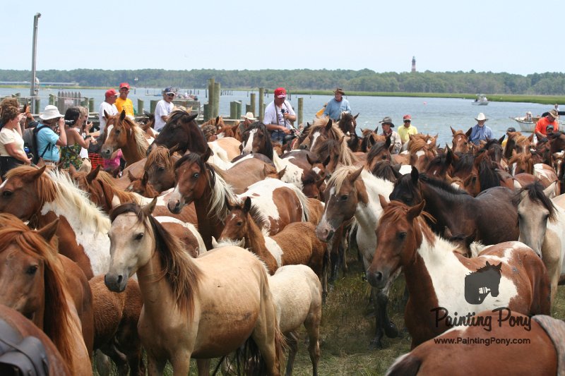 ponypenning_072810_245.JPG
