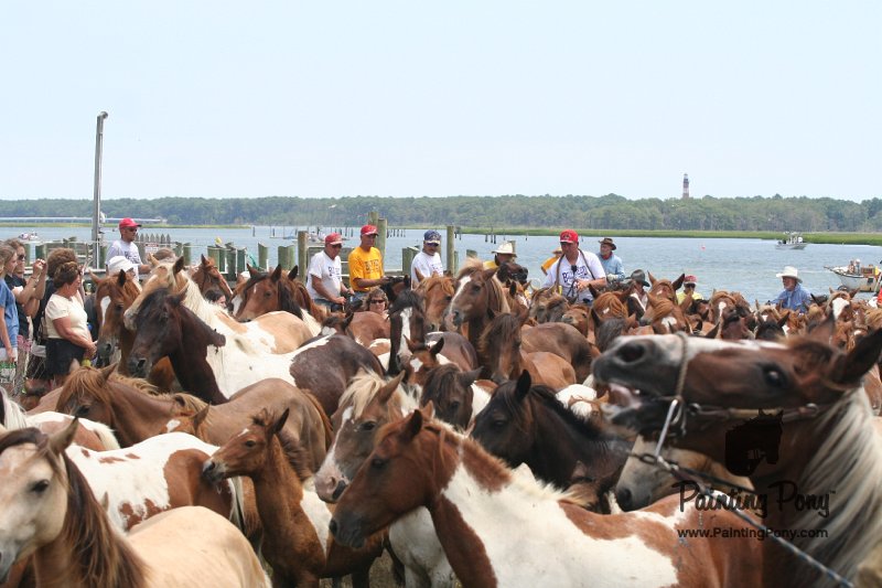 ponypenning_072810_246.JPG
