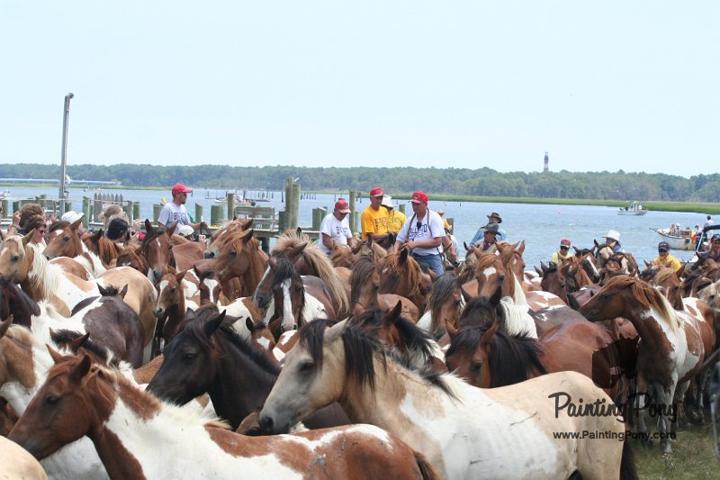 ponypenning_072810_247.JPG