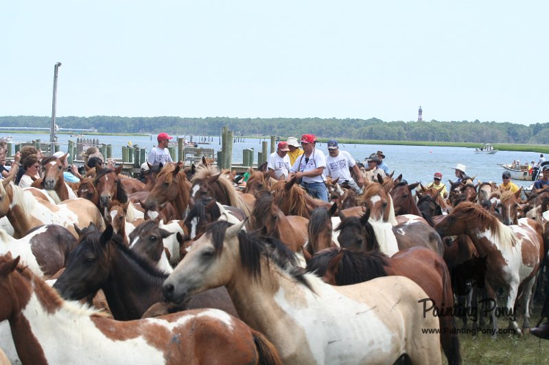 ponypenning_072810_248.JPG