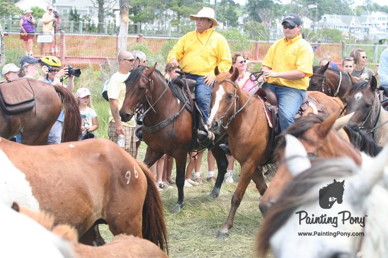ponypenning_072810_255.JPG