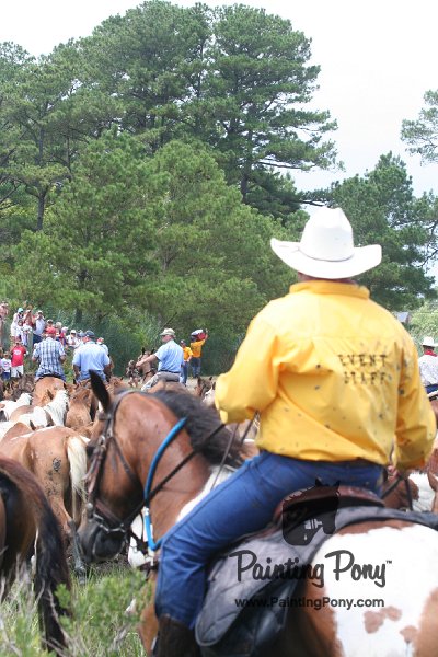 ponypenning_072810_257.JPG