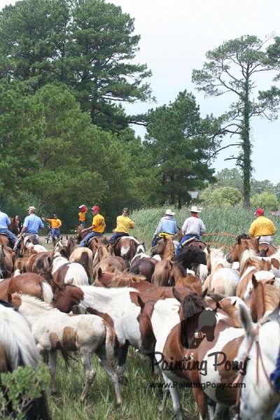 ponypenning_072810_258.JPG