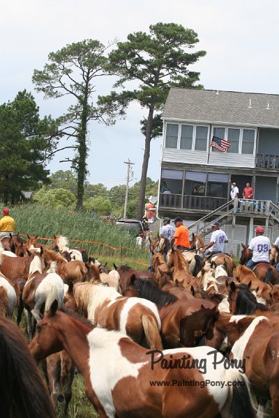 ponypenning_072810_261.JPG