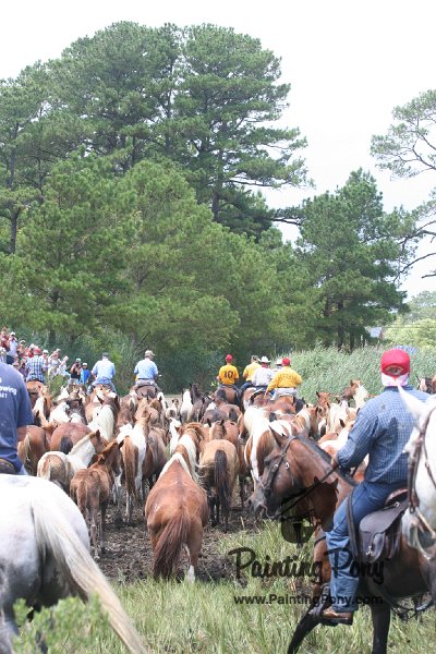 ponypenning_072810_263.JPG
