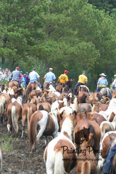 ponypenning_072810_264.JPG