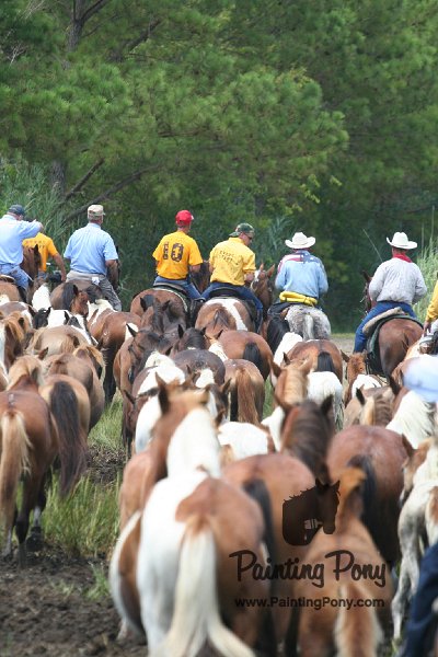 ponypenning_072810_265.JPG