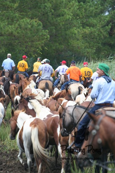ponypenning_072810_267.JPG