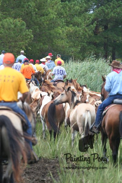 ponypenning_072810_268.JPG