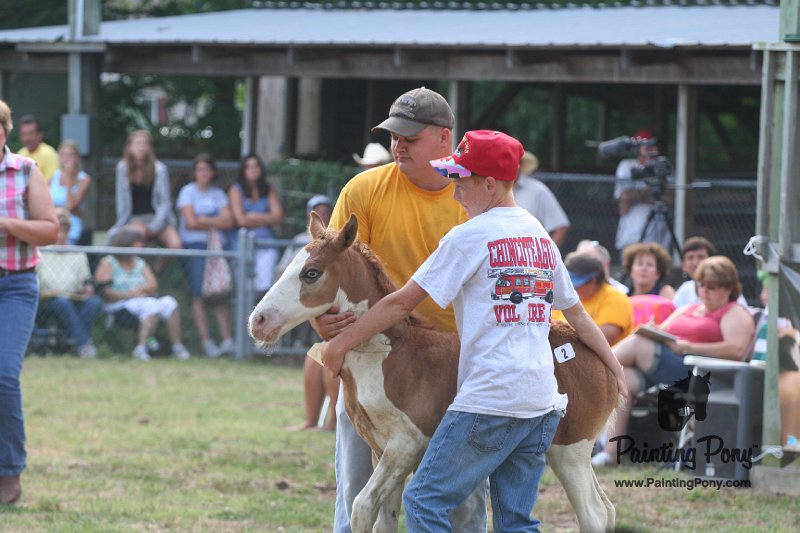 ponypenning_072810_293.JPG