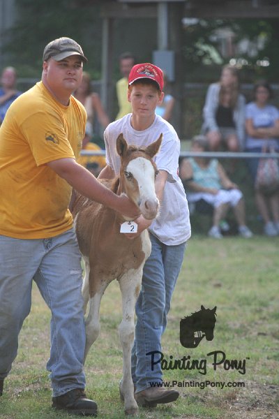 ponypenning_072810_294.JPG