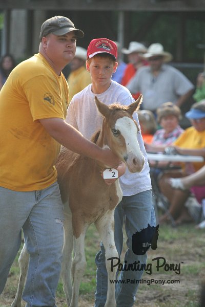 ponypenning_072810_295.JPG