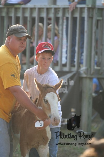 ponypenning_072810_296.JPG