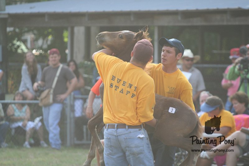ponypenning_072810_299.JPG