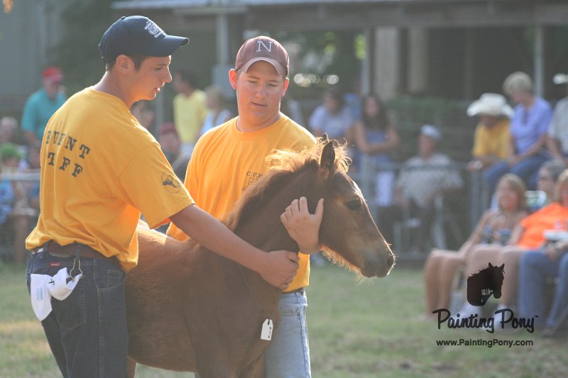 ponypenning_072810_303.JPG