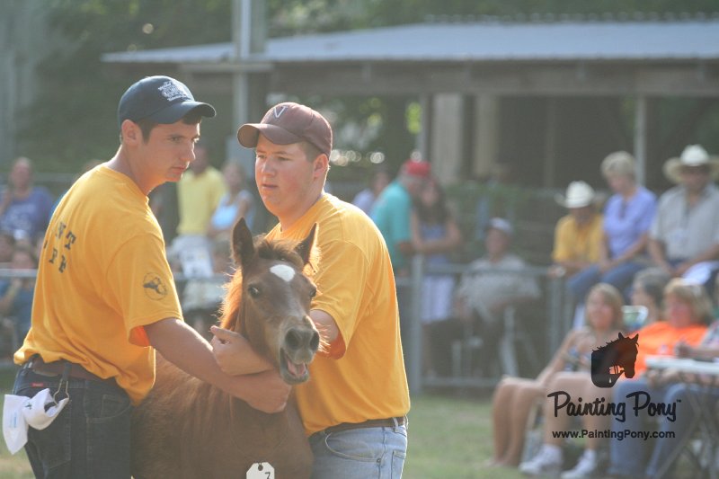 ponypenning_072810_304.JPG