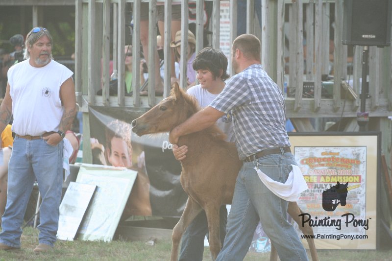 ponypenning_072810_305.JPG