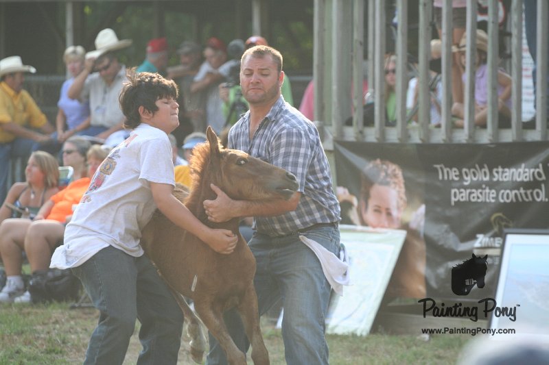 ponypenning_072810_307.JPG