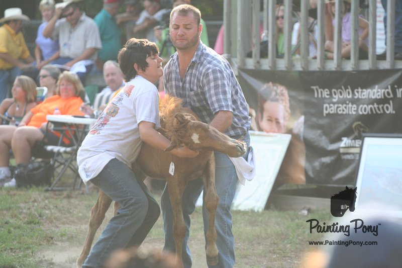 ponypenning_072810_308.JPG