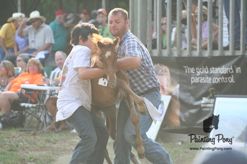 ponypenning_072810_309.JPG