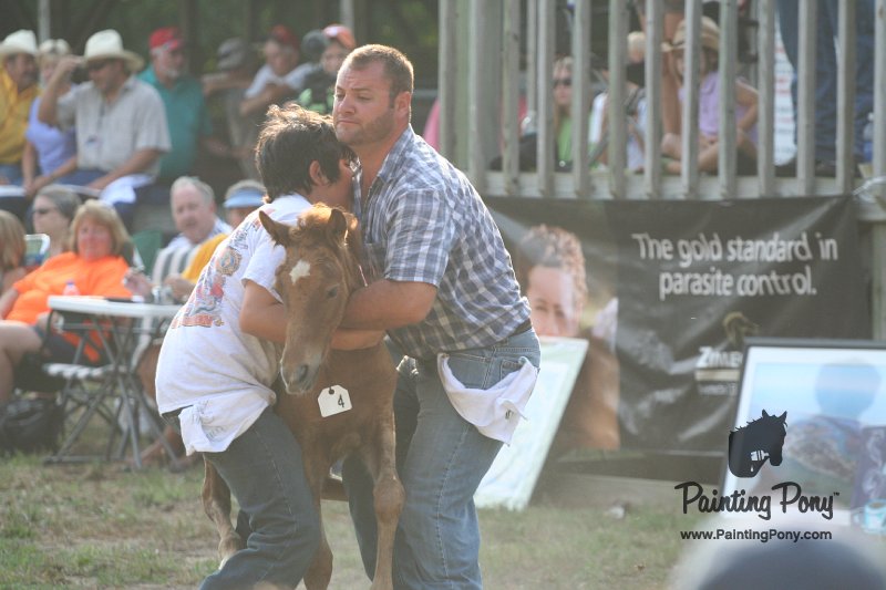 ponypenning_072810_310.JPG