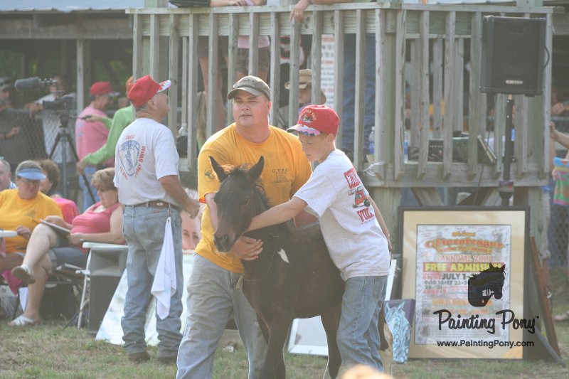 ponypenning_072810_311.JPG