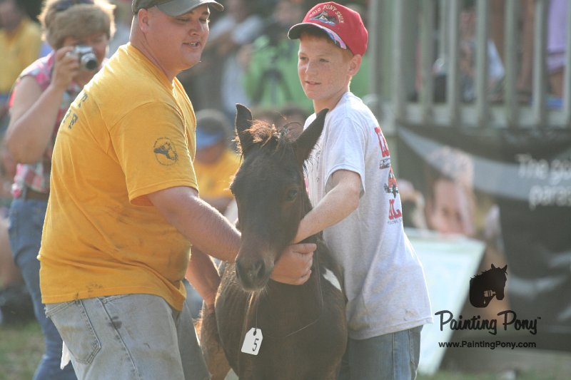 ponypenning_072810_317.JPG