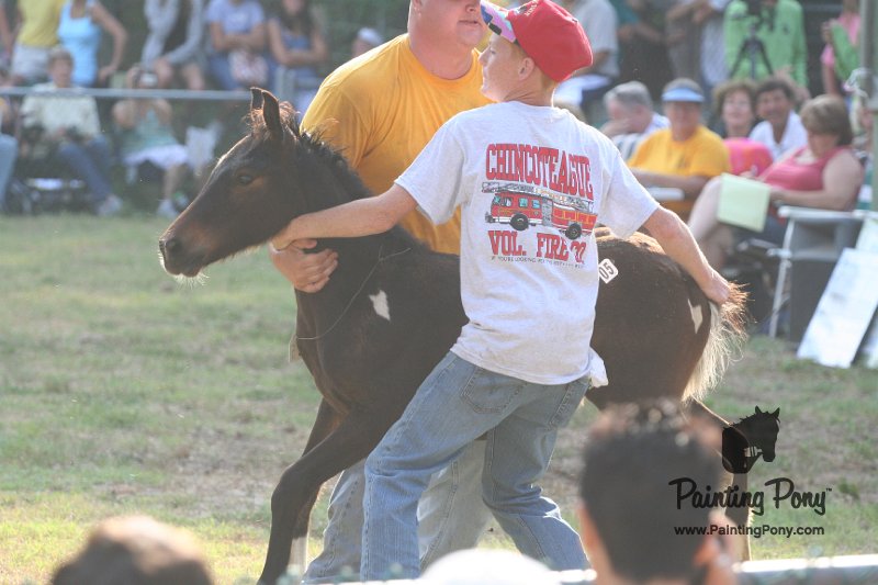 ponypenning_072810_320.JPG