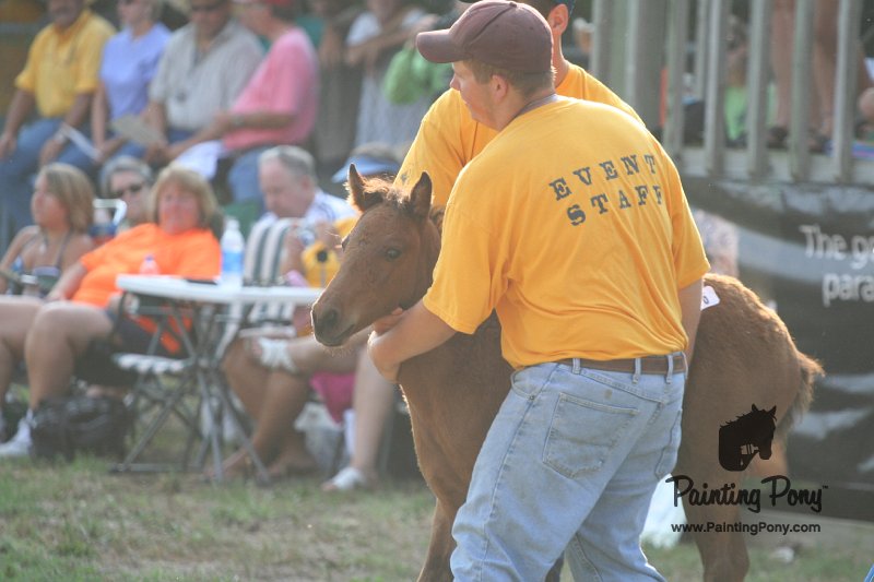 ponypenning_072810_326.JPG