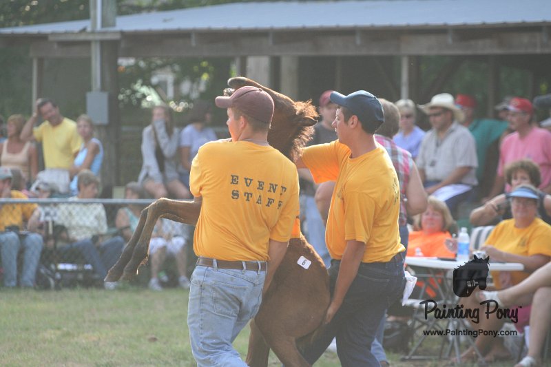 ponypenning_072810_327.JPG