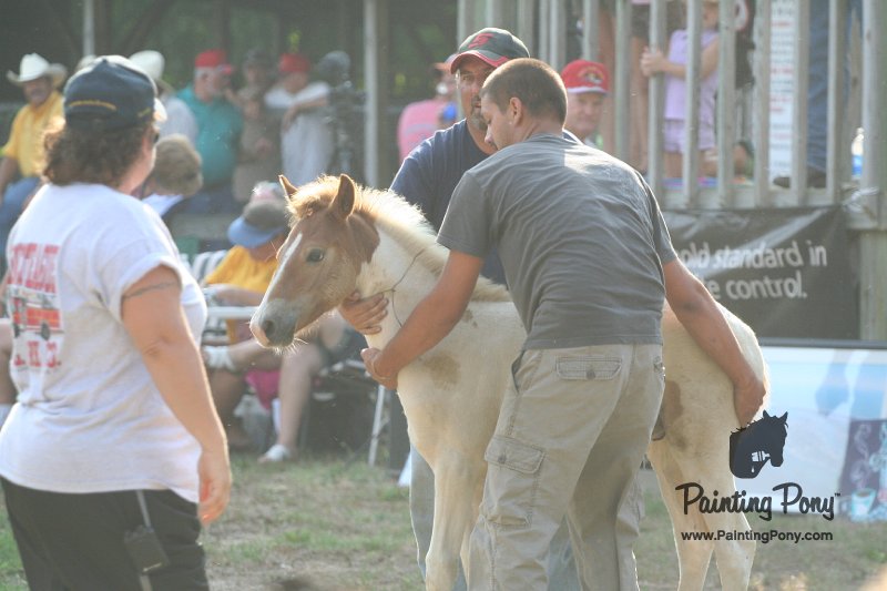 ponypenning_072810_331.JPG
