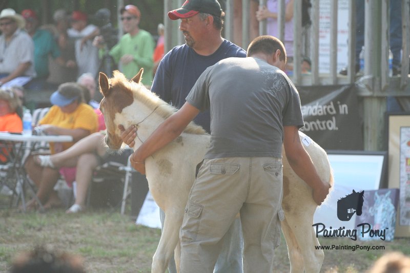 ponypenning_072810_332.JPG