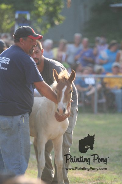 ponypenning_072810_333.JPG