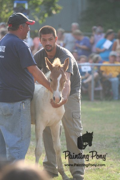 ponypenning_072810_334.JPG