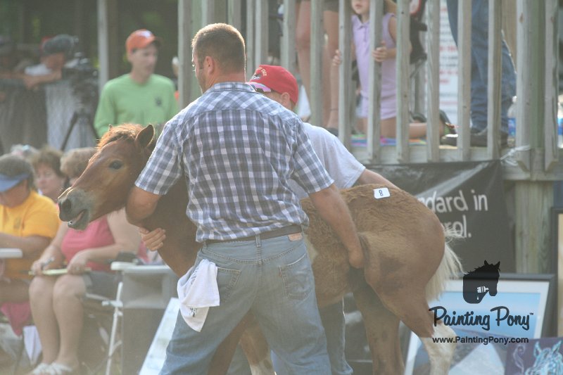 ponypenning_072810_336.JPG