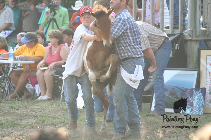 ponypenning_072810_337.JPG
