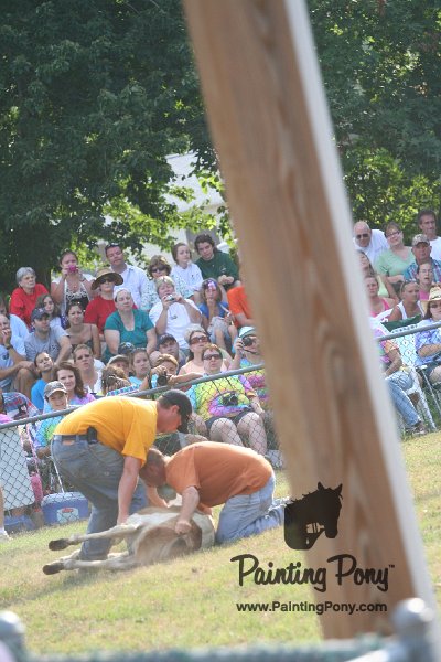 ponypenning_072810_341.JPG