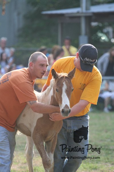 ponypenning_072810_344.JPG