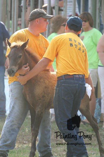 ponypenning_072810_345.JPG