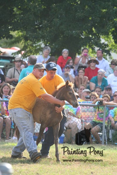 ponypenning_072810_346.JPG